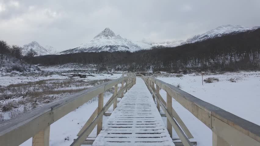 Walking along boardwalk toward forest in cloudy wilderness travel footage