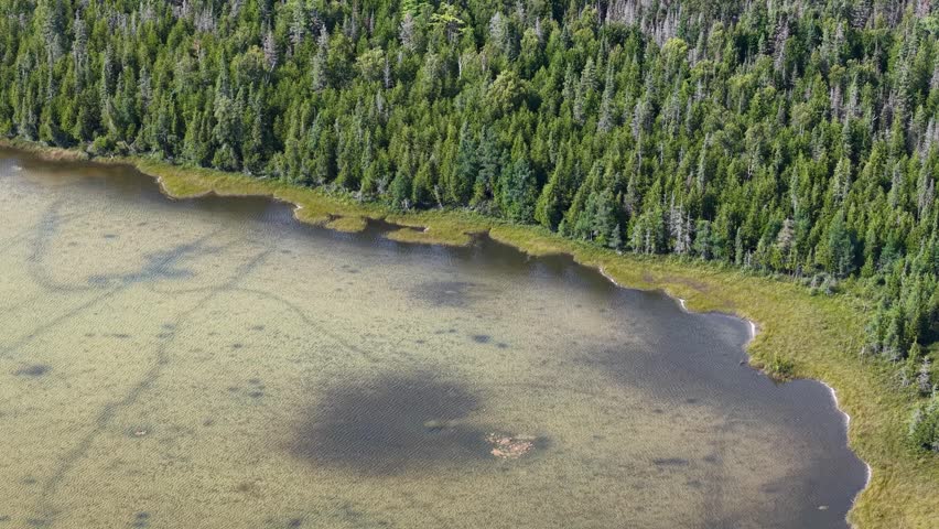 Drone shot over calm lake waters against forest backdrop near Hessel, Michigan on Lake Huron.