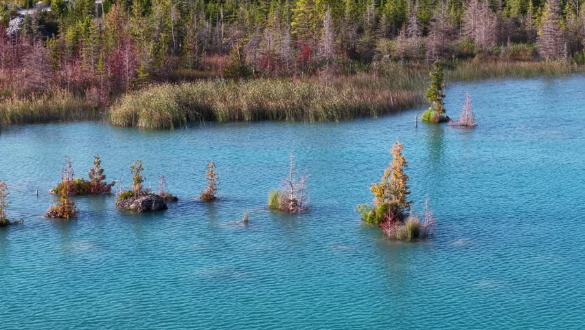 An aerial view of a wilderness area in Hessel, Michigan with Lake Huron