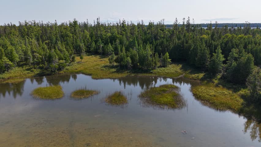 Drone aerial view of a forested wetland area near Lake Huron at Hessel, Michigan.
