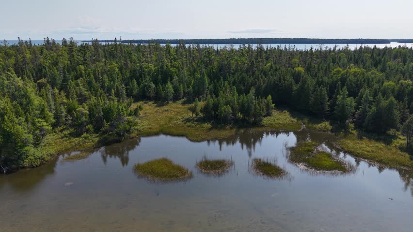 Aerial view of a tranquil lake and surrounding woodland in Hessel, Michigan on Lake Huron