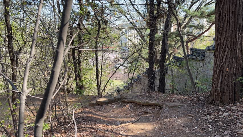 Peaceful dirt path next to a traditional stone wall in a lush green forest.