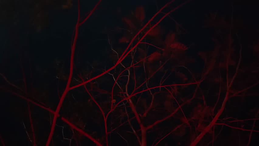 Dramatic red lit tree branches create an eerie night silhouette with the moon peeking through tangled limbs.