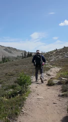 Hiker Ascends a Scenic Mountain Trail with Trekking Poles in British Columbia, Canada