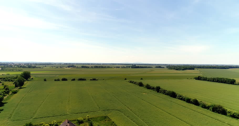 Wide aerial view of lush green agricultural fields stretching toward the horizon under a clear blue sky, with tree lines and a quiet open countryside