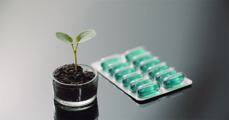 A small green seedling grows in a glass cup of soil next to a blister pack of green capsules, arranged on a glossy dark surface with a soft gray background