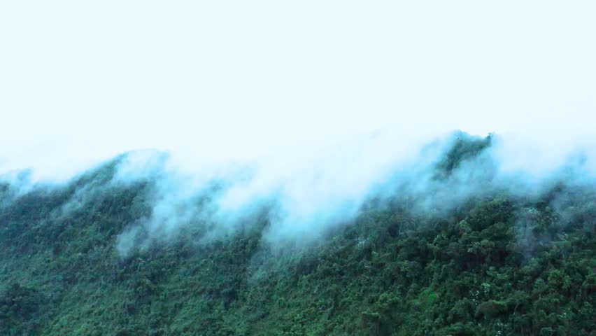 A tranquil natural landscape with mist rolling over a lush green mountainside under a cloudy sky.