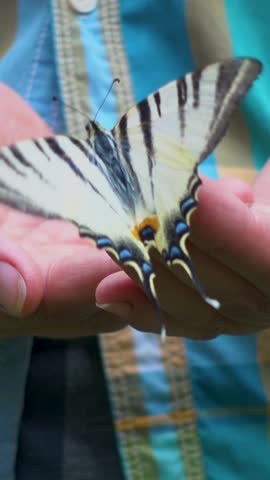 A live butterfly in a woman