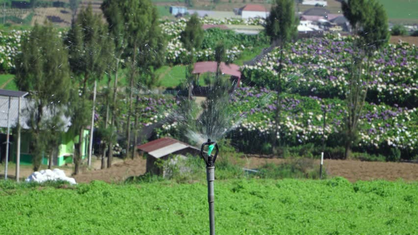 Close up of automatic water sprinkler spinning and spraying water on green crop field in a mountainous agricultural area of Southeast Asia during a hot sunny day.