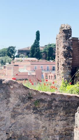 Panoramic aerial view of the Roman Forum in Rome featuring ancient columns, triumphal arches, temple ruins, the Vittoriano monument, and tourists under a clear blue sky.