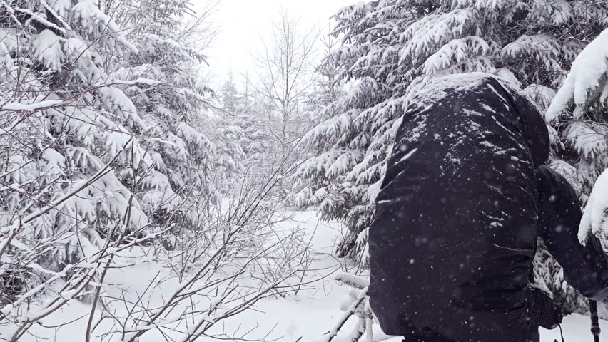 Man walking uphill through a narrow path between snowy spruce trees