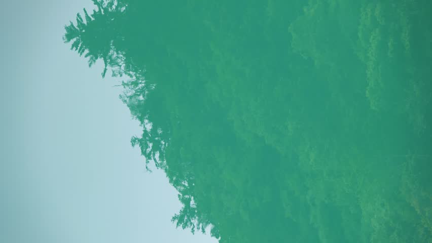 Reflection of trees on the calm surface of the water, creating a mirror-like effect

