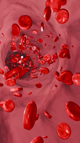 Human blood cells in a artery or vein. Blood plasma, sience, hemoglobin, blood flow, healthcare and medicine. 3D animation