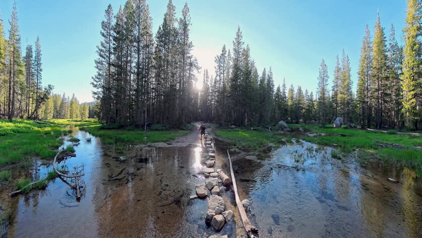 Crossing Stepping Stones in Creek through Yosemite wilderness