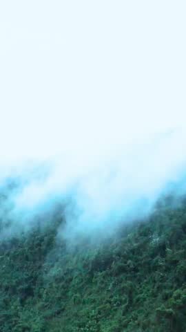 A tranquil natural landscape with mist rolling over a lush green mountainside under a cloudy sky.