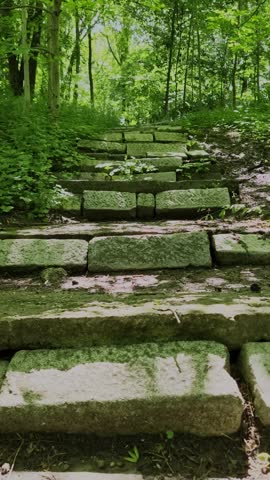 Old stone steps covered in moss leading up through a lush green forest. Scenic pathway in nature with beautiful sunlight filtering through trees.
