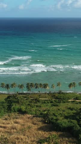 Tropical beach with coconut palm trees and azure caribbean sea. Beautiful landscape. Aerial view. Vertical footage