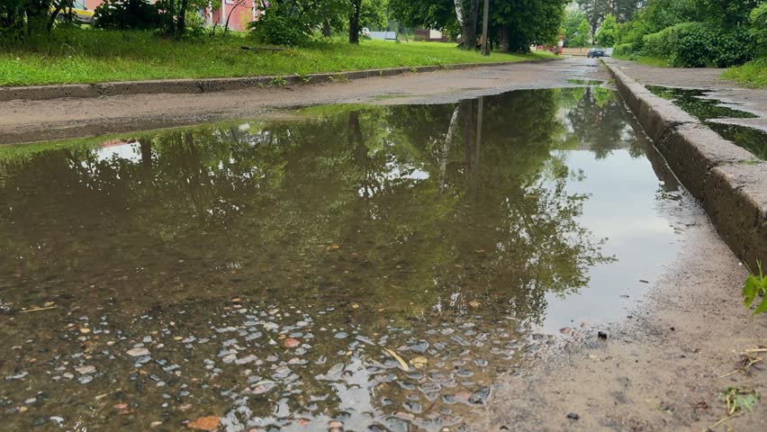 Big puddle reflecting green trees on wet city road, street landscape on rainy day after heavy rain.