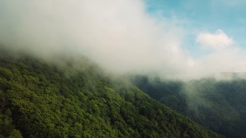 clouds covering the top of Appalachian mountain range