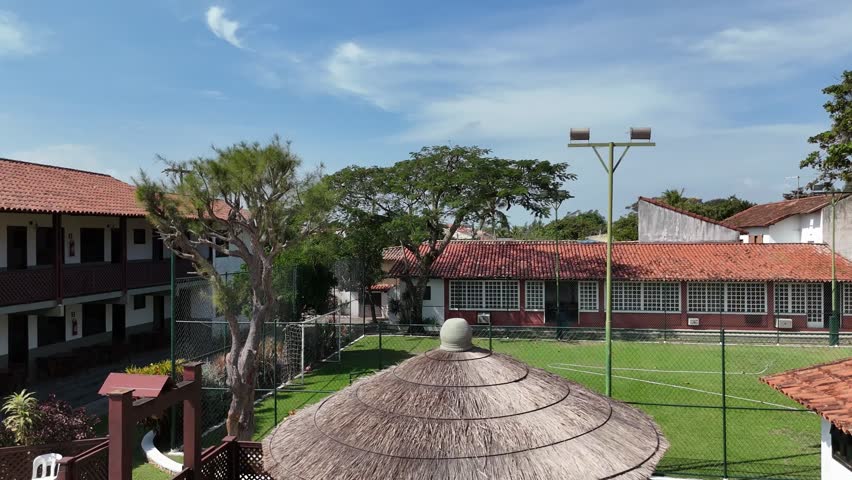 Hummingbird during roof inspection Sao Pedro da Aldeia Rio de Janeiro