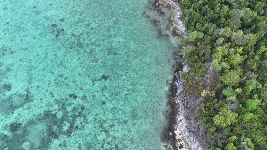 Aerial drone shot capturing a beautiful tropical coastline with lush green forest meeting crystal clear turquoise ocean water on a sunny day.
