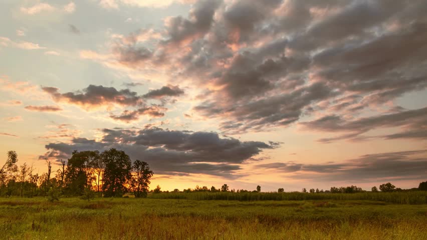 Serene landscape with trees and grassy field at sunset with cloudy sky