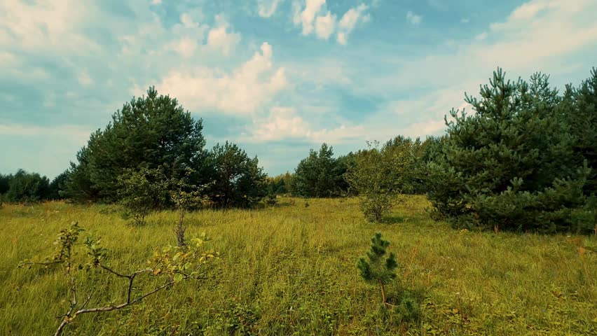 A serene landscape with trees and grass under a blue cloudy sky outdoors
