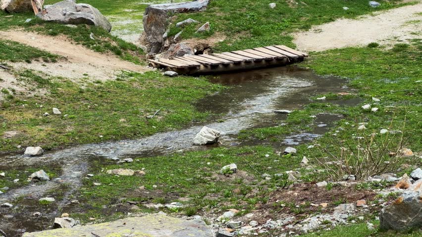 Static wide shot of a rustic wooden bridge crossing a clear creek in alpine meadows.
