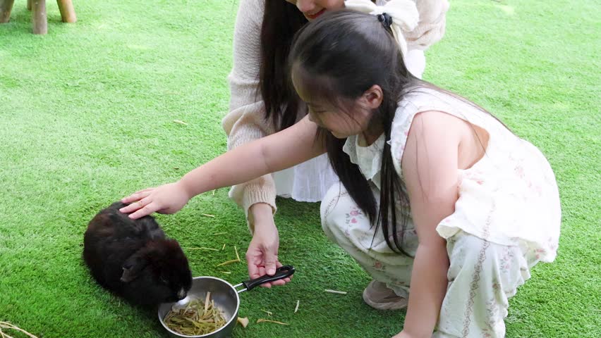 A child gently pets a black rabbit while feeding it from a small bowl