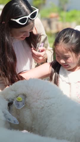 Mother and daughter feed sheep from a bowl during a sunny day at a farm