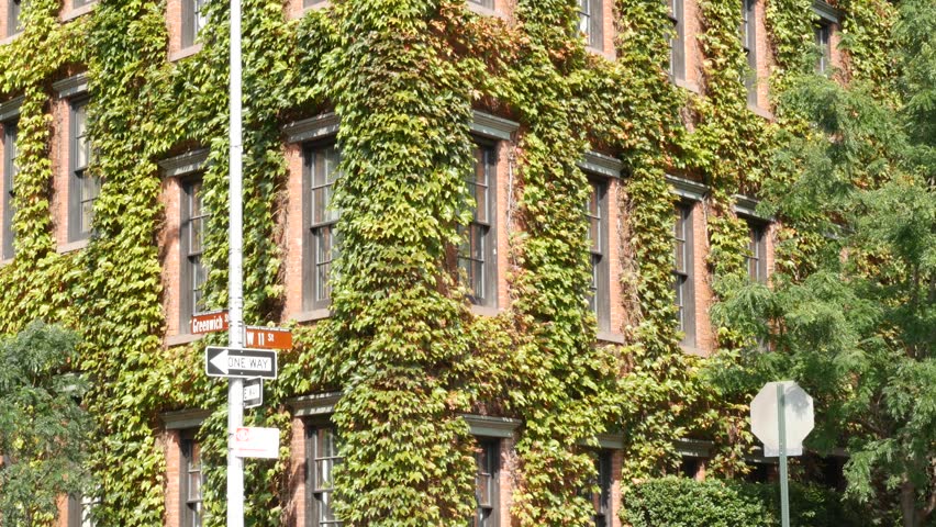 New York City urban residential buildings architecture, Lower Manhattan West village Greenwich street corner, United States of America. Greenwich village, USA. Red brick house. Vine greenery on wall.