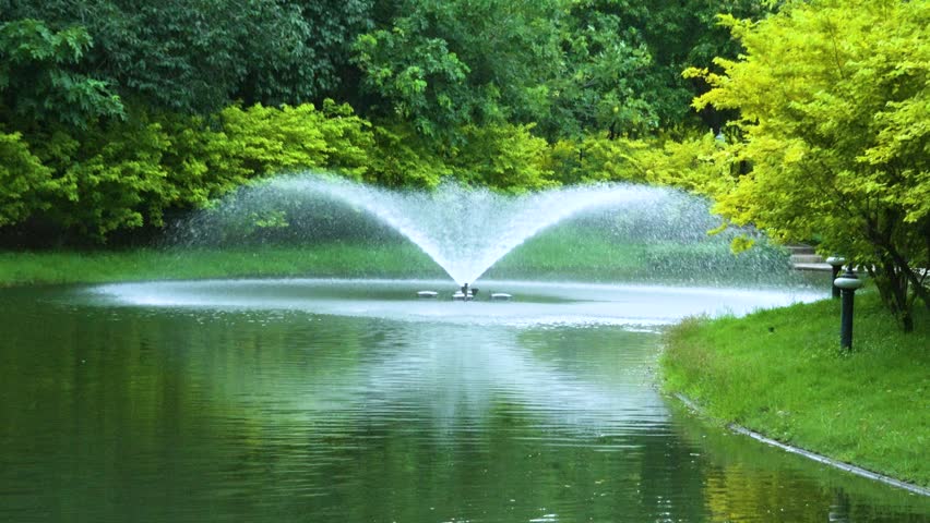 A fountain located in the middle of a pond in the park sprays water in a wide arc, with a backdrop of a dense garden of green and yellow trees.
