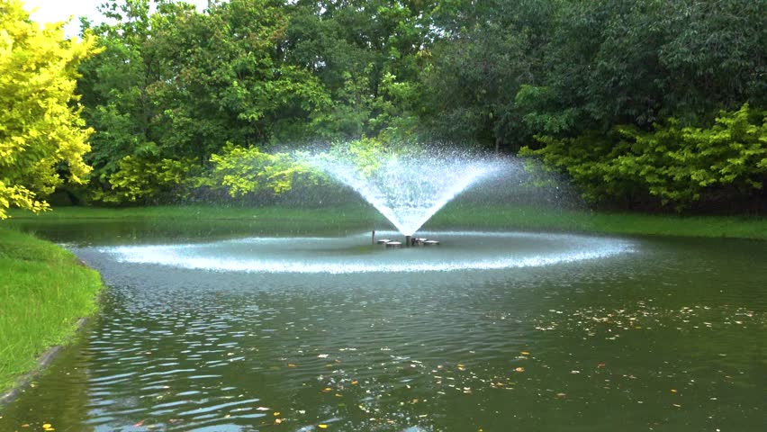 A fountain located in the middle of a pond in the park sprays water in a wide arc, with a backdrop of a dense garden of green and yellow trees.