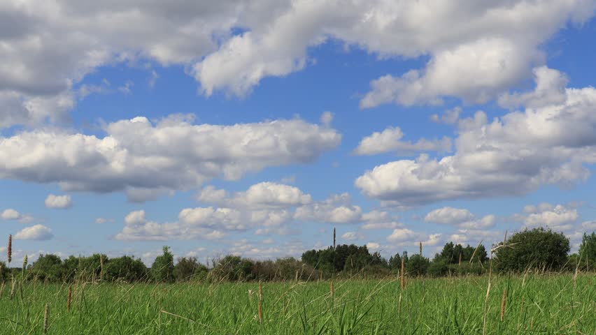 white clouds in the blue sky over a green field on a summer day