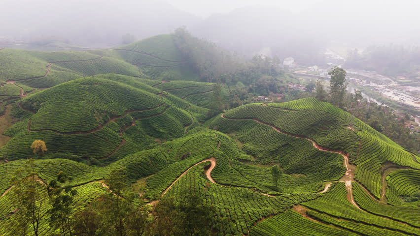 Scenic panoramic drone shot of rolling hills with terraced tea gardens in Munnar