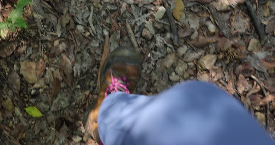  POV of legs walking in the forest