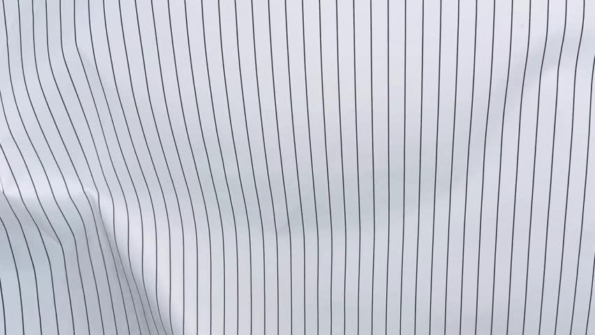 Close up of white cotton shirting fabric featuring fine black vertical stripes held by hands demonstrating smooth surface texture and slight stretchability.