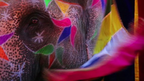 Close-up view of painted elephant head स्टॉक वीडियो
