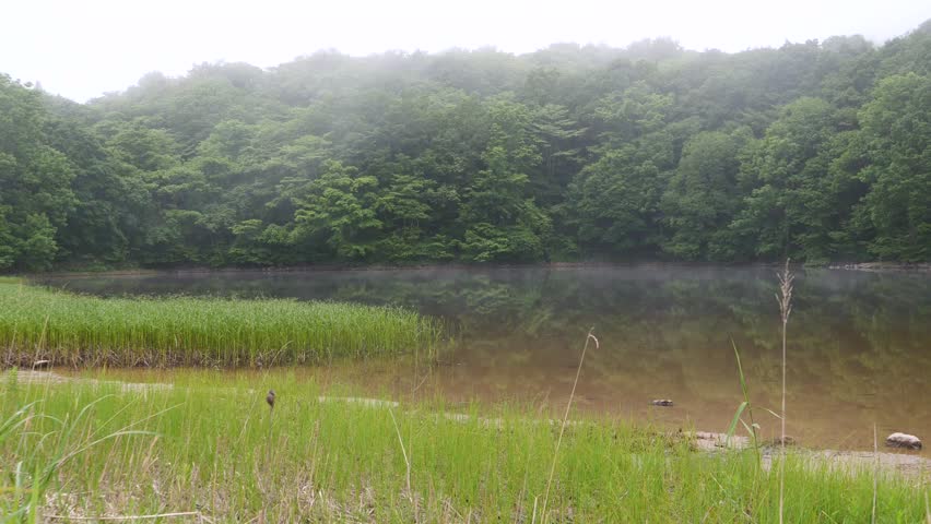 Morning Mist Drifting Over Tsubunuma Pond Near the Yakeishi Mountains, Japan – 4K