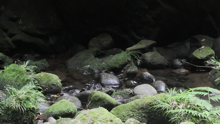 Mystical Forest Oasis - Shaded Twin Falls Inside a Giant Natural Rock Cave