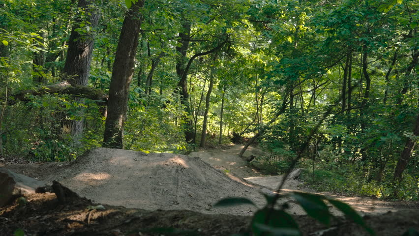 Extreme mountain biker performing a jump over a dirt ramp on a sunny day in a green forest
