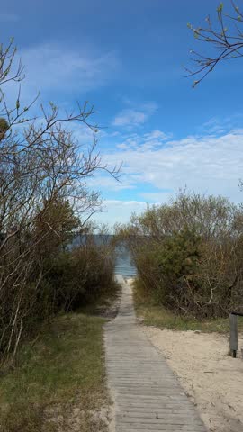 Wooden path through coastal shrubs leading toward the Baltic Sea.