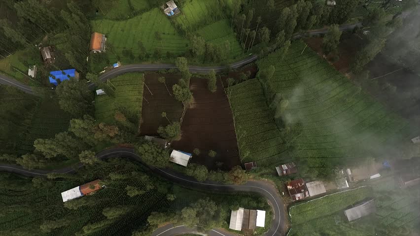 4K top down drone shot of a winding road through misty green terraced fields.