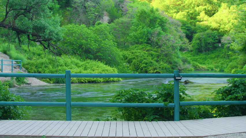 Man hiker looking at a mountain river in a green forest, static wide shot. Back view of a traveler standing by a wooden fence watching the crystalline stream.