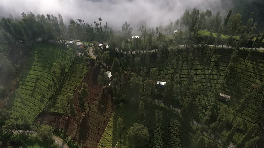 4K top down drone shot of a winding road through misty green terraced fields.