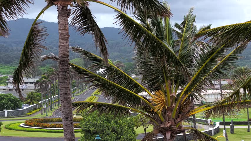Camera moves along palm-lined drive toward white temple framed by lush mountains