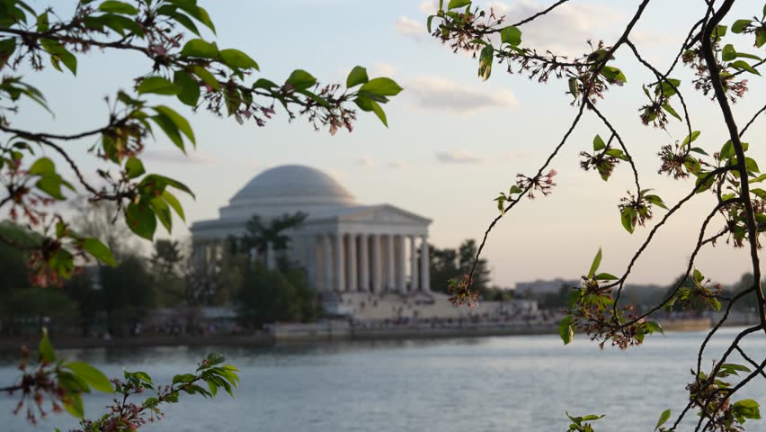 Jefferson Memorial in Washington DC at Sunset View Through Tree Branches Across Tidal Basin Water. Beautiful America National Capital Historic