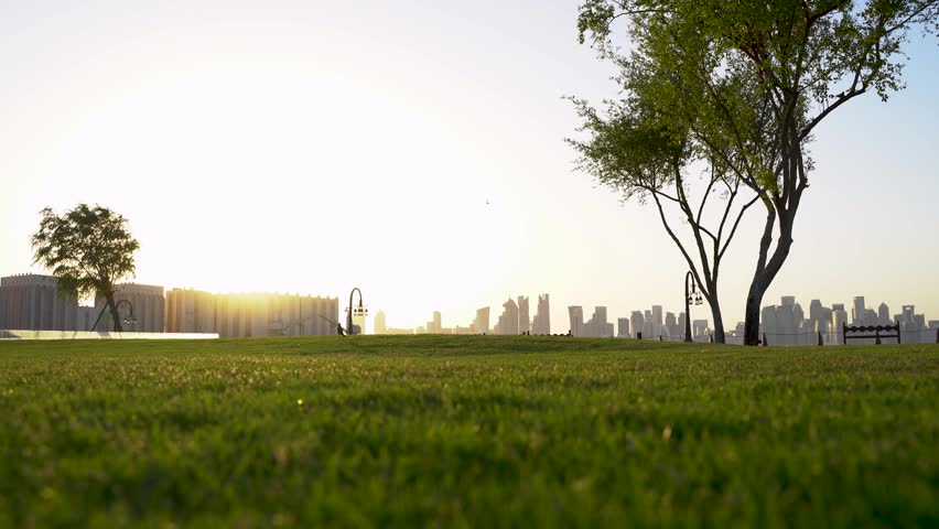 A peaceful, low-angle view of a vibrant green lawn in a public park in Doha, Qatar, with the modern city skyline silhouetted against a bright, hazy sunset.