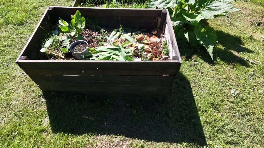 Several raised beds stand in a row on a grassy plot, each holding a different stage of garden work. One bed contains compost made from kitchen scraps and plant remains, while the others show growing crops, including leafy greens and young shoots. A larger plant with broad leaves rises beside the beds, marking the edge of the growing area. The scene reflects a simple routine of tending soil, recycling organic waste and producing food in a small outdoor space. It captures a moment of hands‑on cultivation where composting and planting take place side by side.