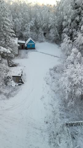 Aerial drone view of a small house or cabin surrounded by snow covered forest in winter, showing a quiet remote landscape with frosty trees and natural light.